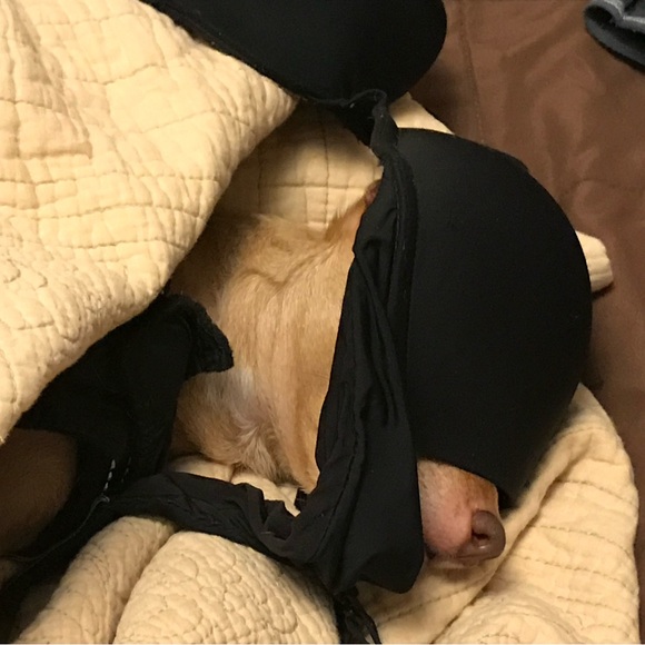 Meet your Posher, Michelle - Picture 1 of 5